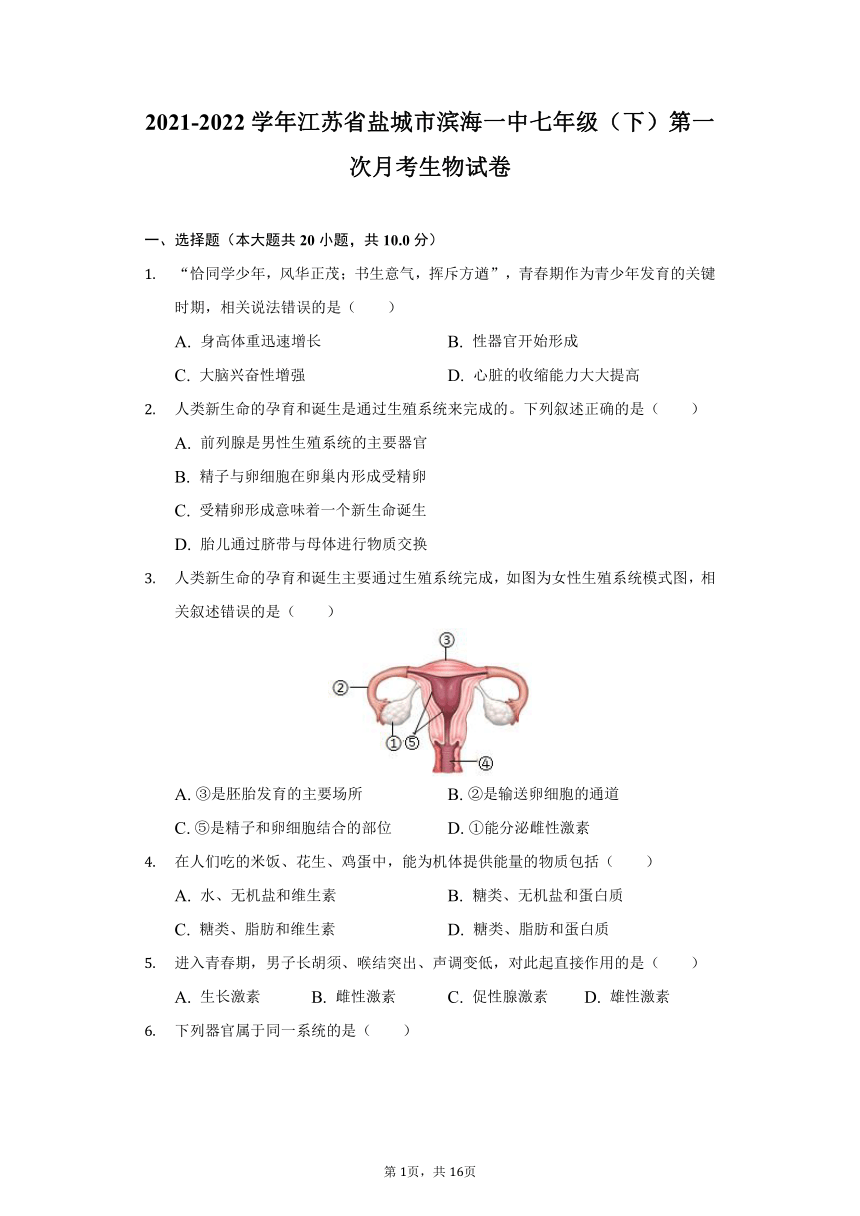 2021-2022学年江苏省盐城市滨海一中七年级（下）第一次月考生物试卷（word版，含解析）