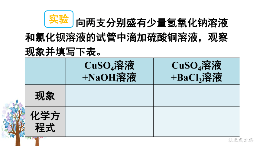 第三节  海水“制碱“第2课时  盐的化学性质及复分解反应的实质（21张PPT）