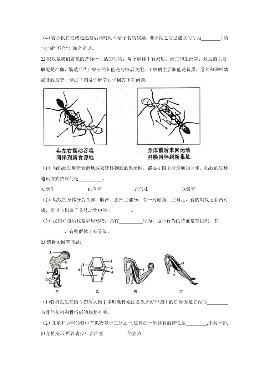 2021-2022学年人教版生物八年级上册 5.2动物的运动和行为 章末综合练习  （含解析）