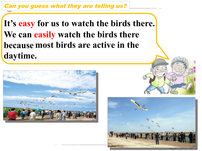 Unit 6 Bird watching Reading 2： Birds in Zhalong 课件（22张PPT，无音频）
