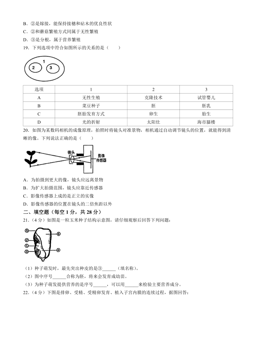 浙江省杭州观成教育集团2023—2024学年下学期七年级科学期中试题（到第2章，含答案）