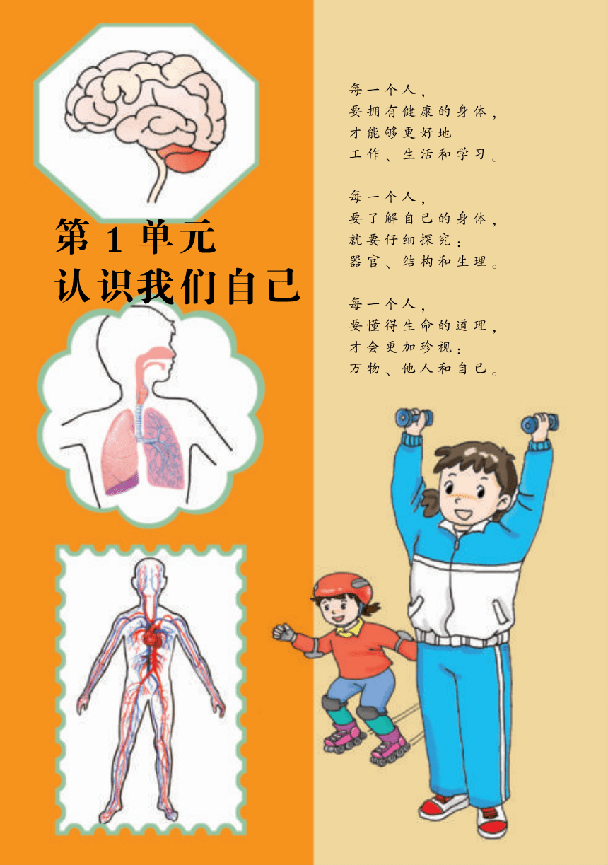 湘科版（2017秋）五年级上册科学 电子课本