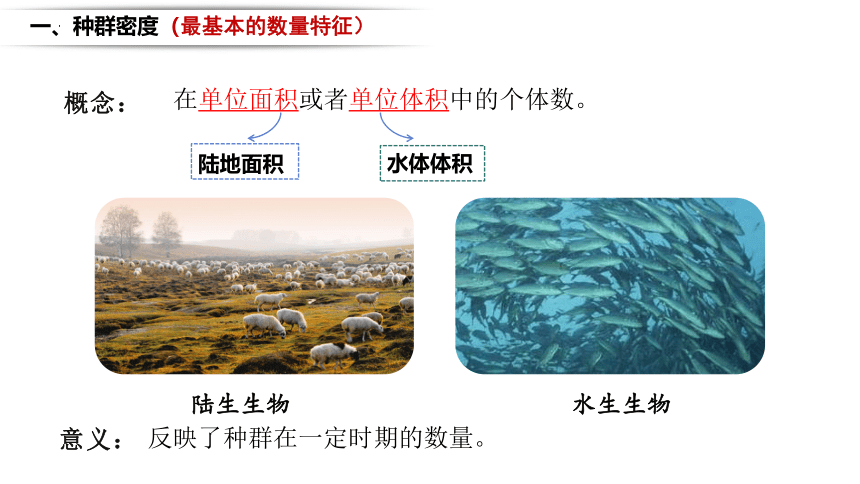 1.1种群的数量特征课件-(共51张PPT)2023-2024学年高二上学期生物人教版选择性必修2