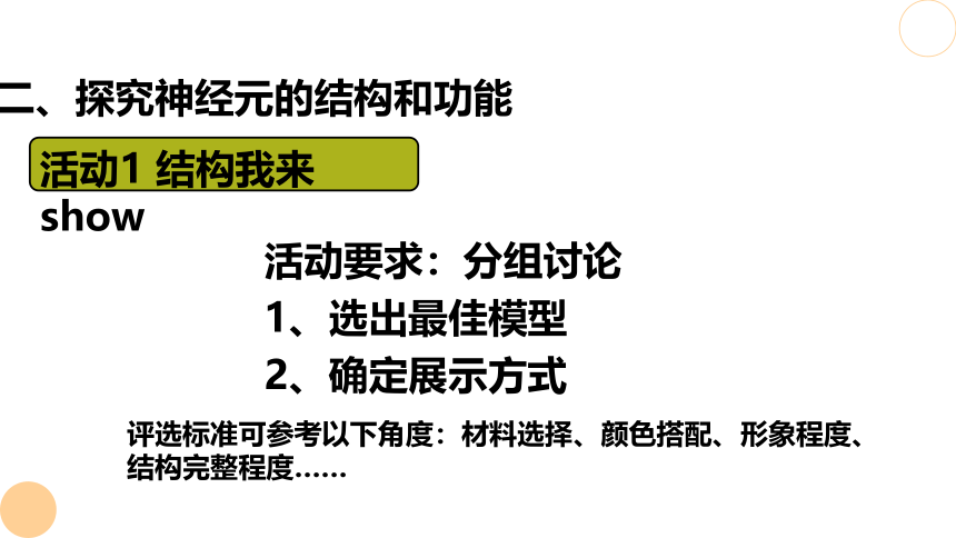 4.6.2 神经系统的组成 课件（共20张PPT）