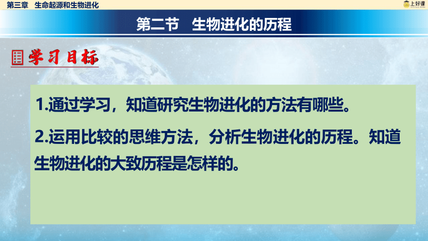 7.3.2 生物进化的历程课件(共32张PPT)人教版八年级生物学下册