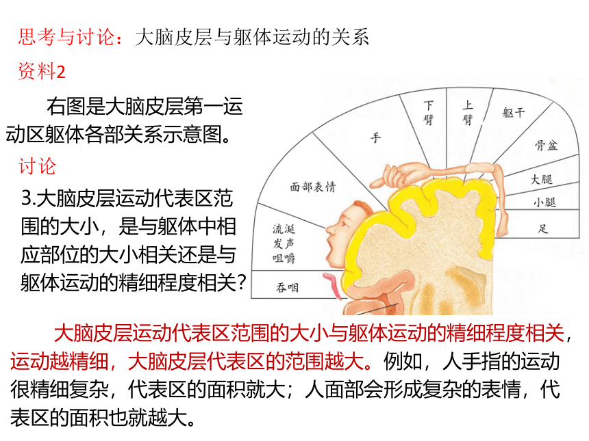 生物人教版（2019）选择性必修1 2.4 神经系统的分级调节（共27张ppt)