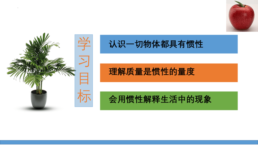 8.1 牛顿第一定律-课时2（课件）（共23张PPT）人教版物理八年级下册