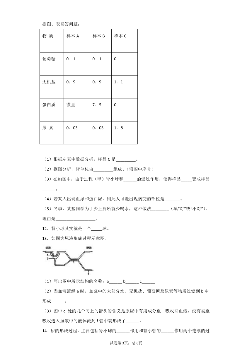 5.4人体的排泄-华东师大版八年级科学上册同步检测