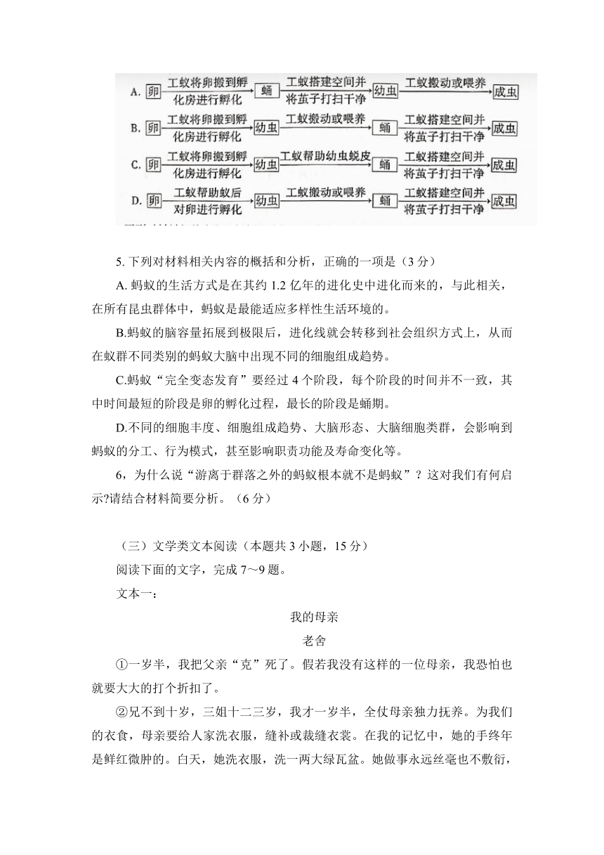 2023届四川省绵阳重点中学高三下学期5月高考仿真模拟预测语文试题（含答案）