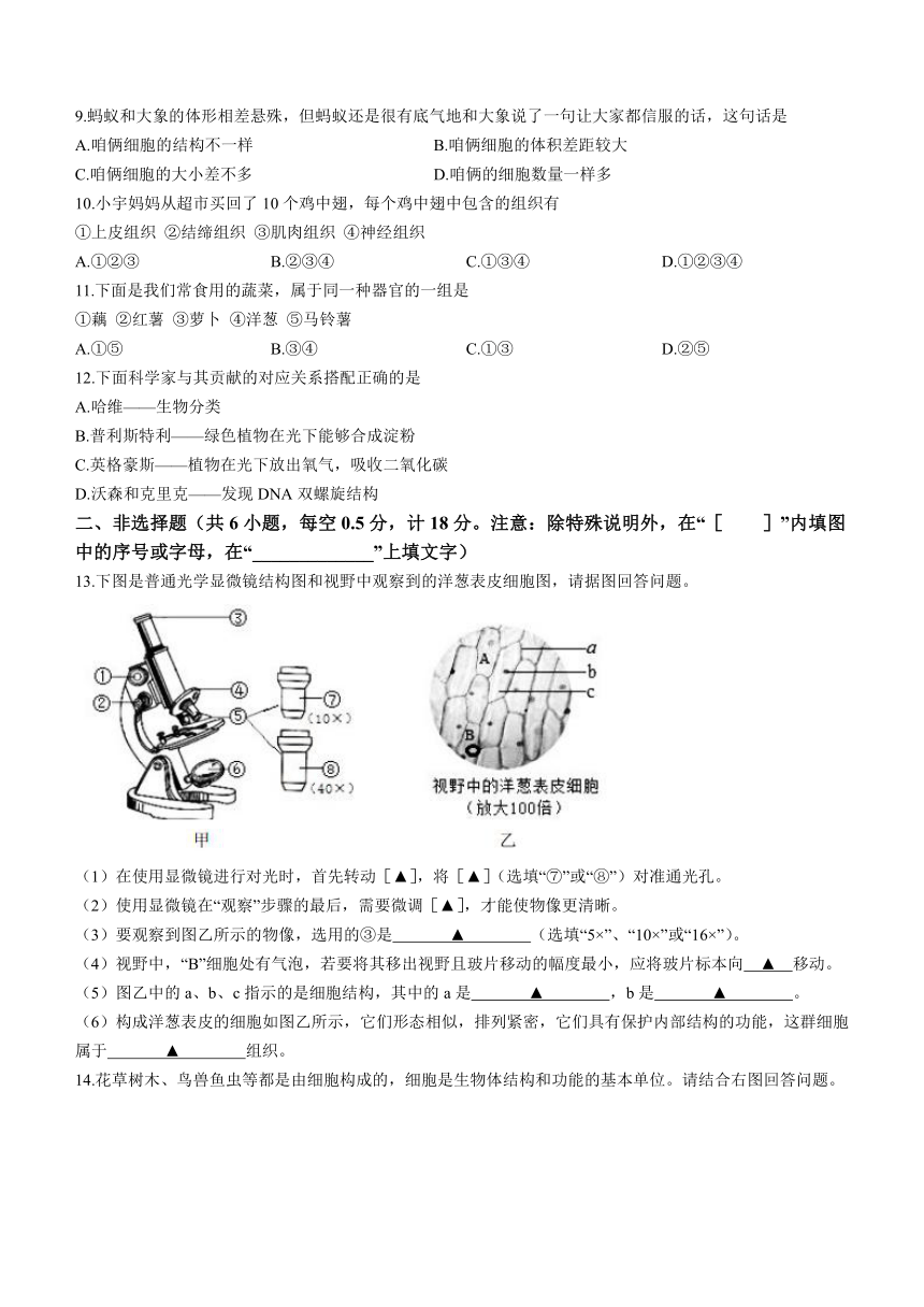 辽宁省抚顺市新抚区2022-2023学年七年级上学期期中生物试题（含答案）