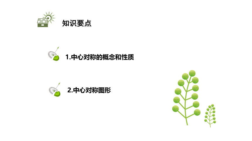 北师大版八年级数学下册3.3中心对称课件(共21张PPT)