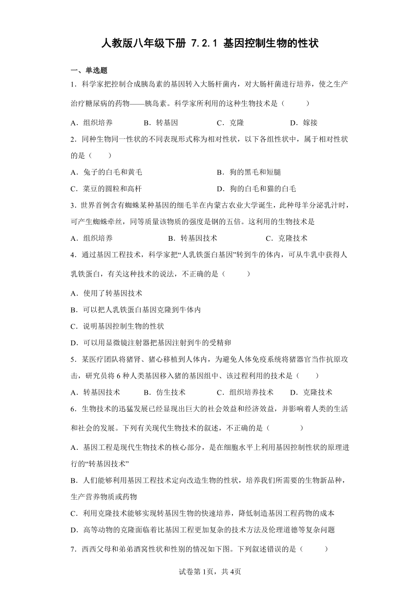 人教版八年级下册7.2.1基因控制生物的性状同步练习（word版 含解析）