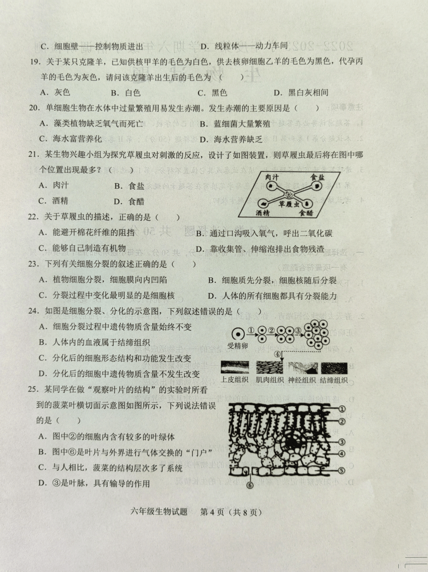 山东省济南市莱芜区（五四制）2022-2023学年六年级上学期期末考试生物试题（图片版 含答案）