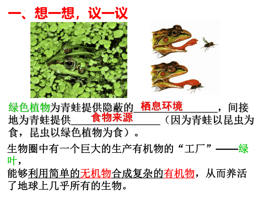 3.4 绿色植物是生物圈中有机物的制造者 课件(共31张PPT＋内嵌视频1个) 人教版生物七年级上册