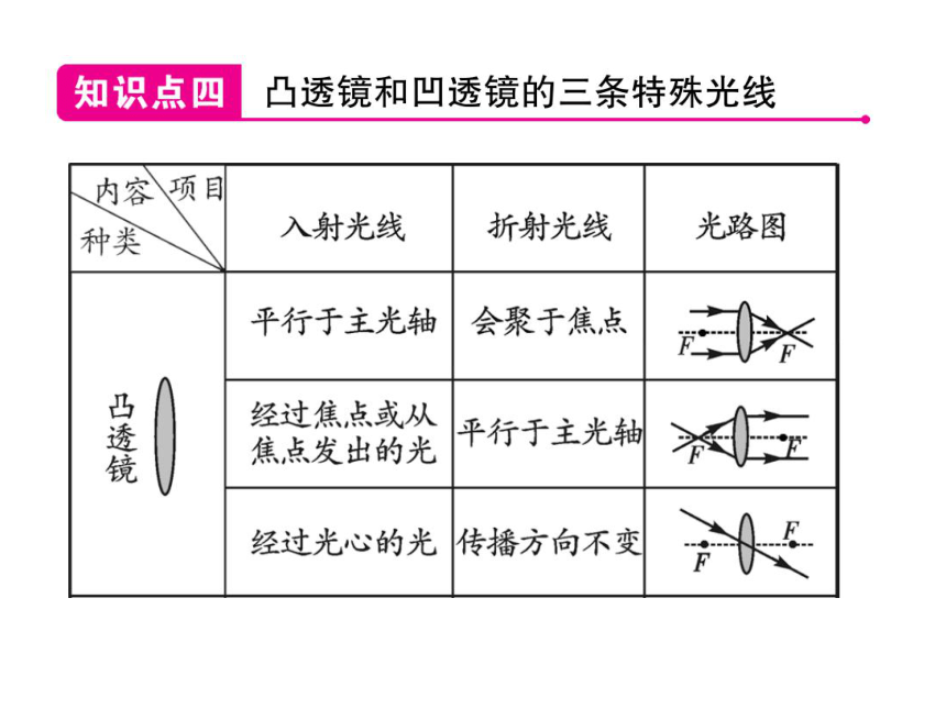 2021-2022学年八年级上册人教版物理习题课件 第五章 第1节 透镜(共30张PPT)