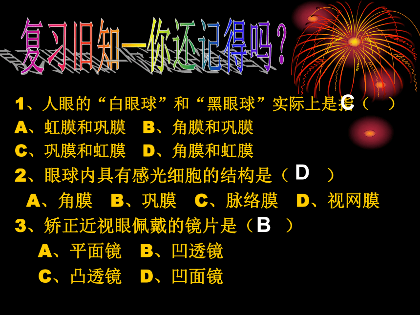 人教七下生物4.6.1人体对外界环境的感知-耳朵 课件（13张ppt）