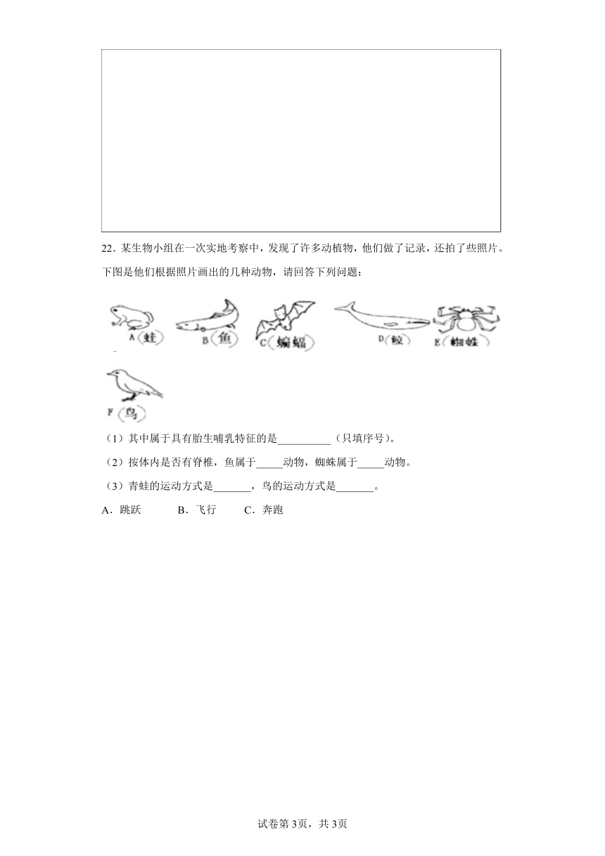 苏教版（2017秋）四年级科学上册试题1.4.哺乳类 同步练习（含答案）