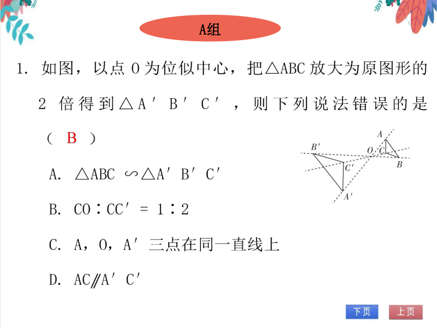 【北师大版】数学九年级（上）4.8.1 位似 习题课件