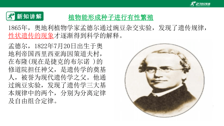 6.20.3 性状遗传有一定的规律性-2022-2023学年八年级生物上册同步课件25页（北师大版）