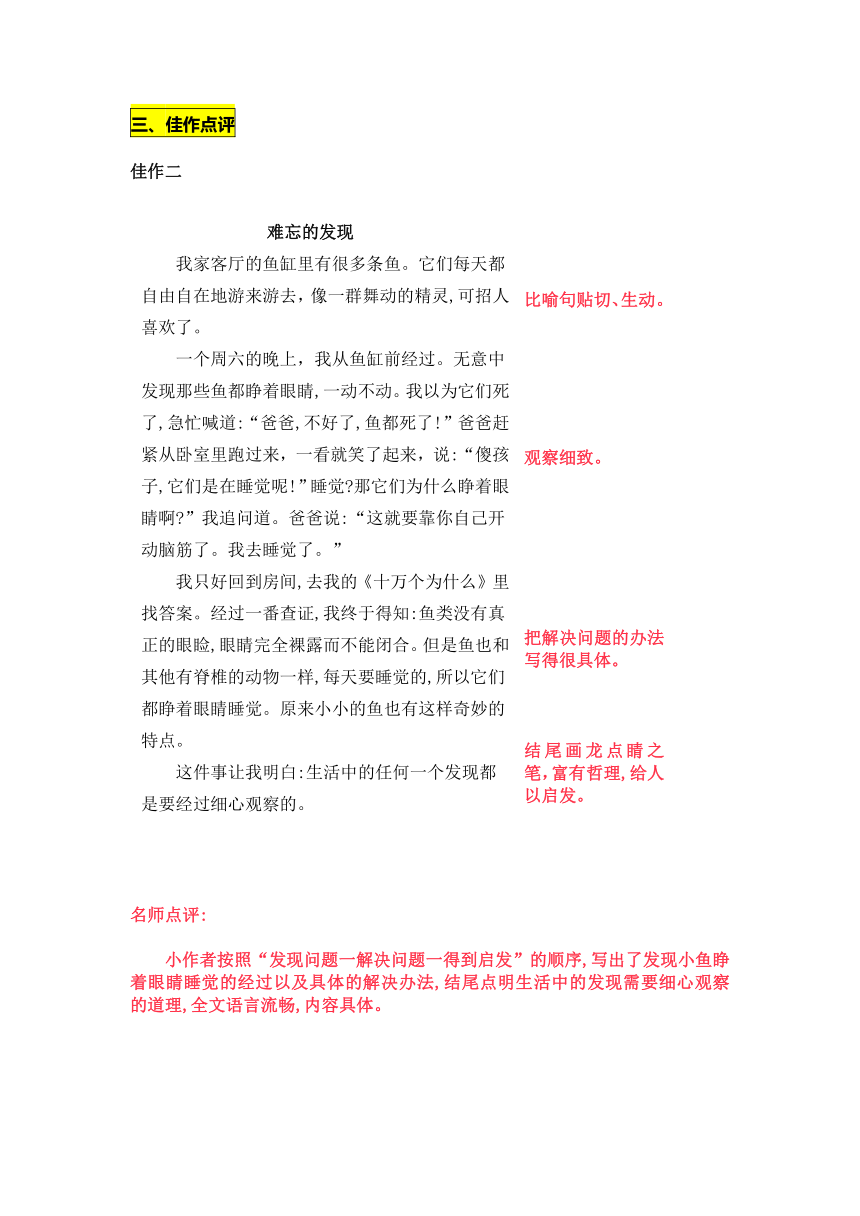 统编版三年级上册第五单元《我们眼中的缤纷世界》习作名师指导和佳作点评（10篇）