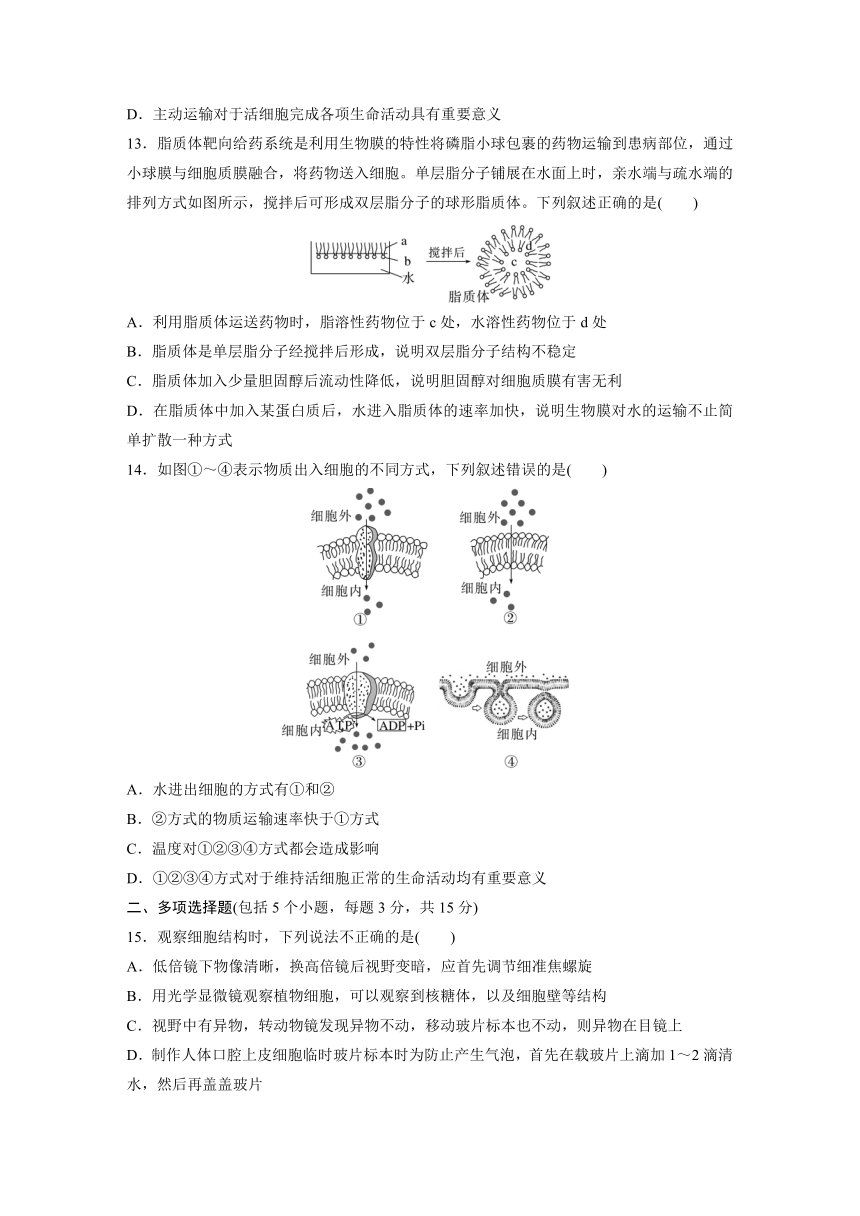 2022-2023学年苏教版2019高中生物必修1 第二章　细胞的结构和生命活动  章末检测试卷(二)（word版含解析）