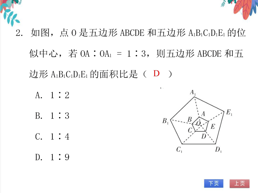 【北师大版】数学九年级（上）4.8.1 位似 习题课件