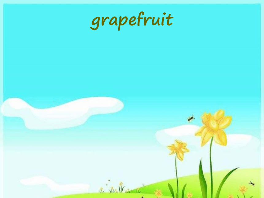 Unit6 It’s a grapefruit Lesson31 课件(共18张PPT)