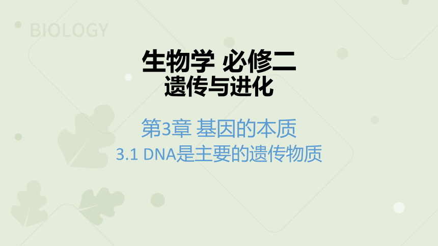 2022-2023学年高一生物人教版（2019）必修二3.1 DNA是主要的遗传物质（教学课件）（19张ppt）