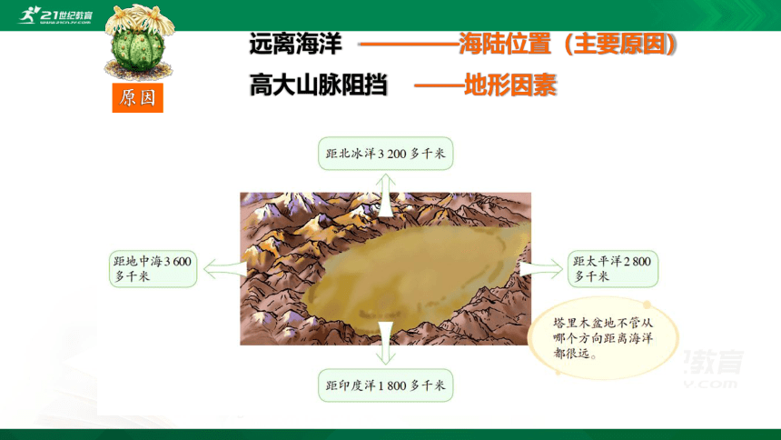 8.2 干旱的宝地——塔里木盆地-课件（共18张PPT）