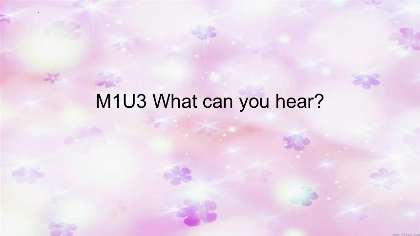 Module 1 Unit 3 What can you hear？课件（共25张PPT）