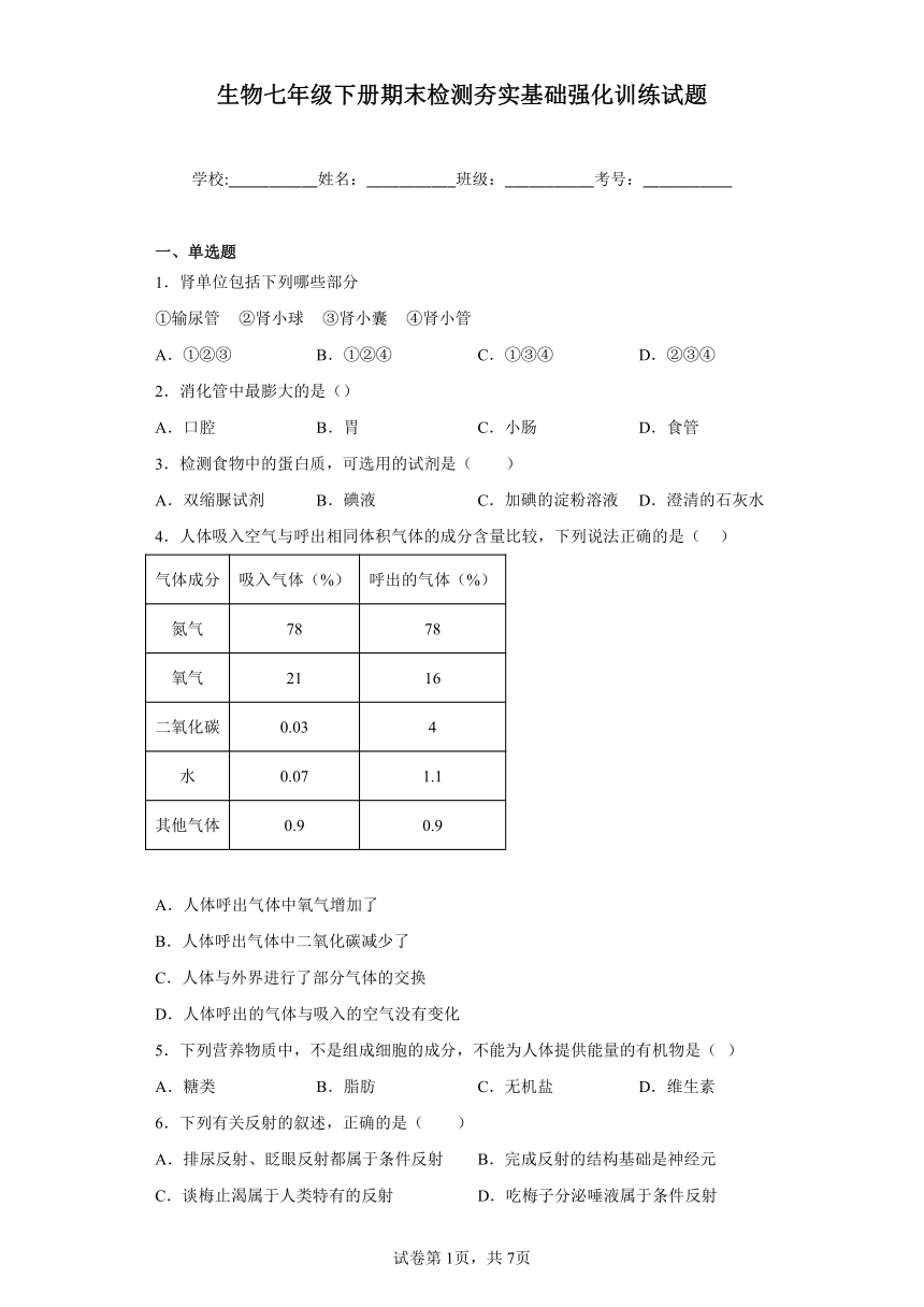 济南版生物七年级下册期末检测夯实基础强化训练试题3（含解析）