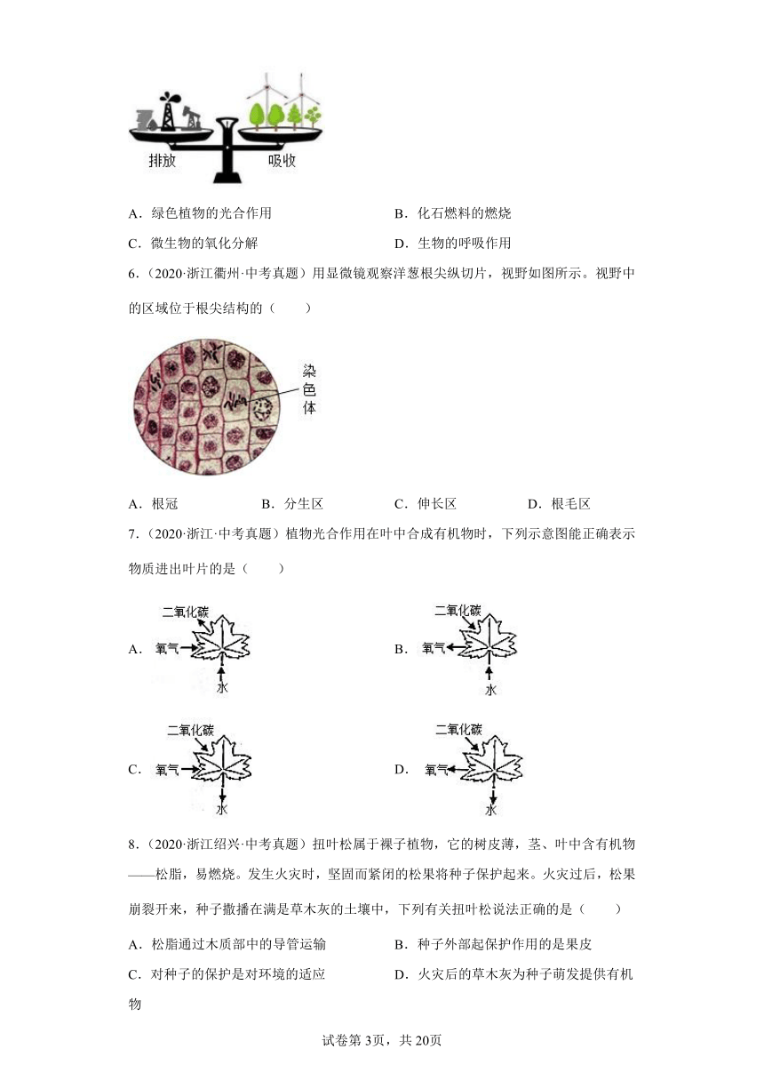 06绿色植物的新陈代谢-浙江省各地区2020-2022中考科学真题汇编（含解析）