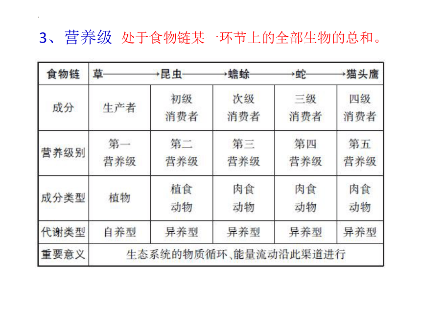 浙江省2023届高三生物二轮复习课件专题7  生态系统、发酵工程(共74张PPT)