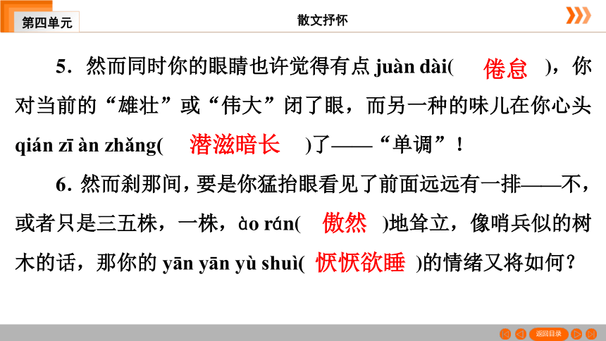 15 白杨礼赞习题课件（共49张幻灯片）