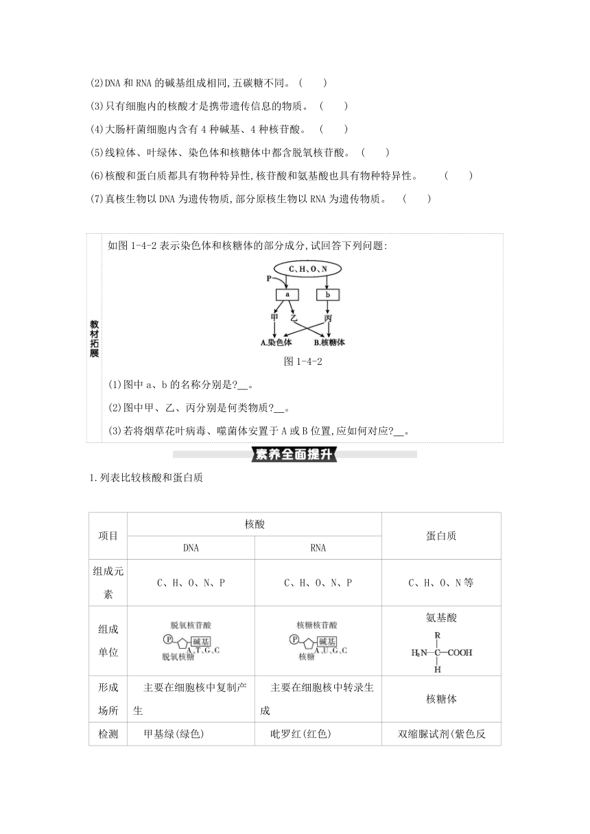 考点梳理&同步真题：第4讲   细胞中的核酸、糖类和脂质（含答案详解）