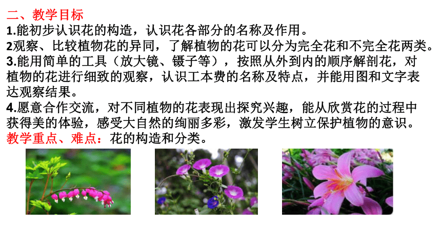 青岛版（六三制2017秋）三年级下册4.11.说课《植物的花》（课件17张ppt）