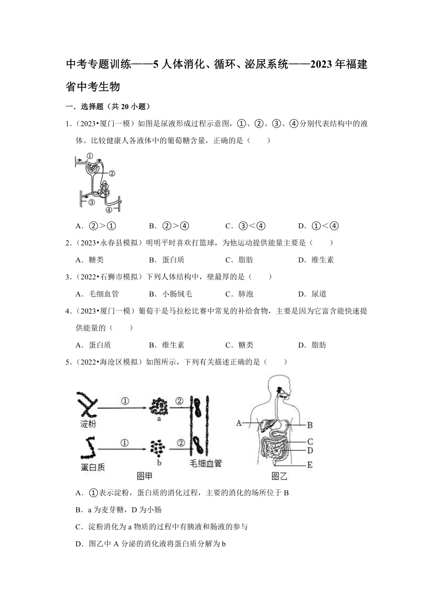 中考专题训练——5人体消化、循环、泌尿系统——2023年福建省中考生物（含解析）