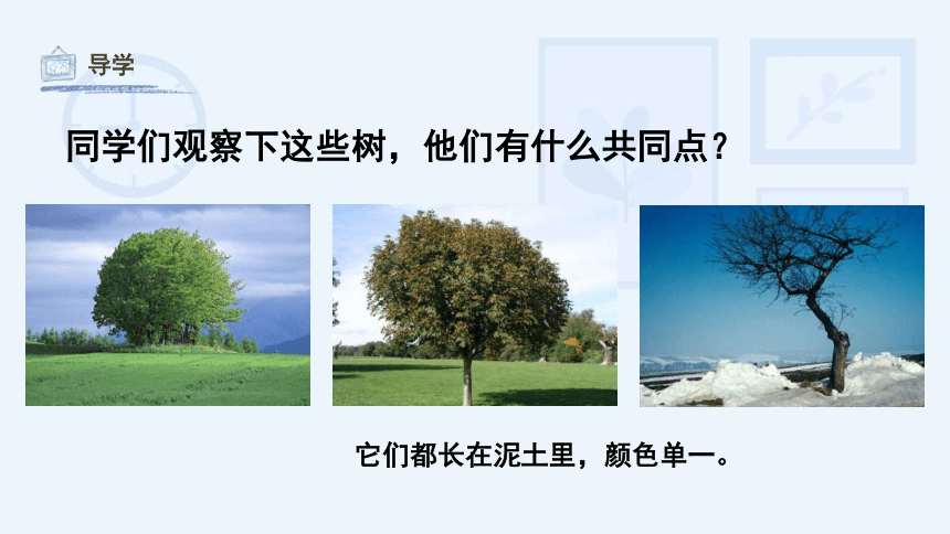 第3课 五彩树（课件）湘美版 美术二年级上册(共29张PPT)