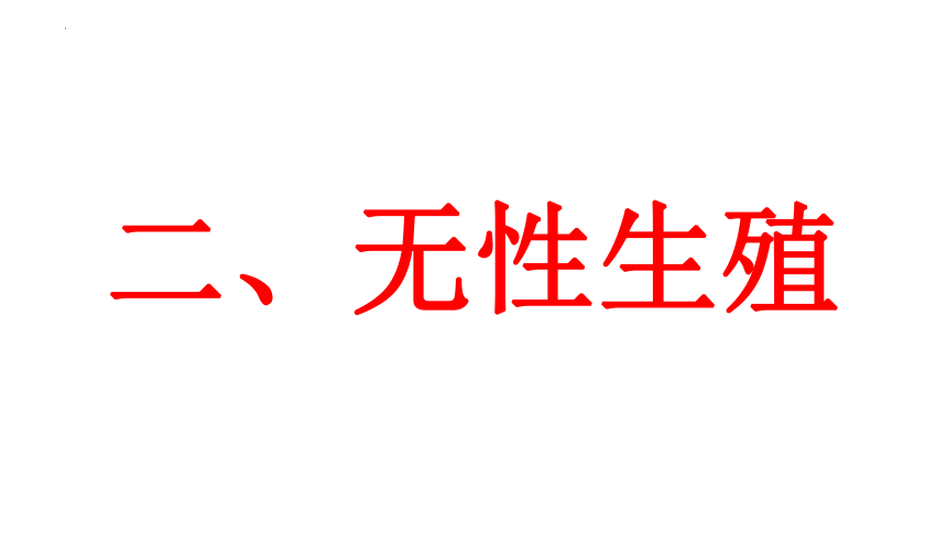 7.1.1  植物的生殖   课件-（31张PPT）2022-2023学年人教版生物八年级下册