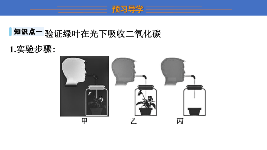 6.18.2 绿色植物与生物圈中的碳—氧平衡 课件(共28张PPT) 2023-2024学年苏科版生物八年级上册