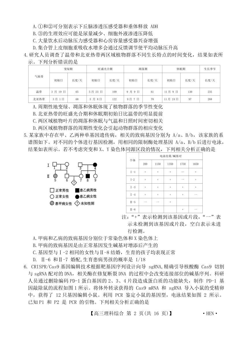 河南省名校2024届高三下学期（4月）教学质量检测理综试卷（解析版）