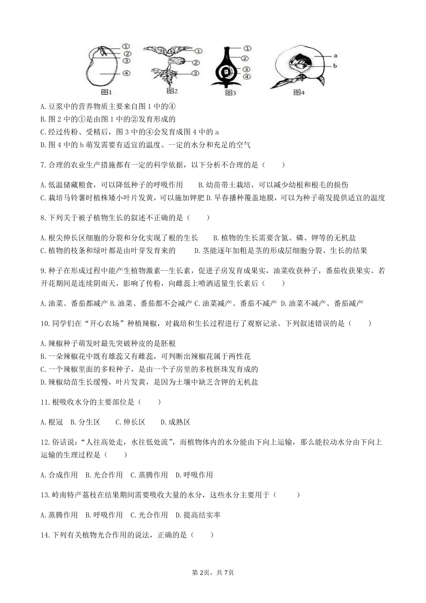 人教版七年级上册生物第三单元《生物圈中的绿色植物》测试卷（Word版含答案）