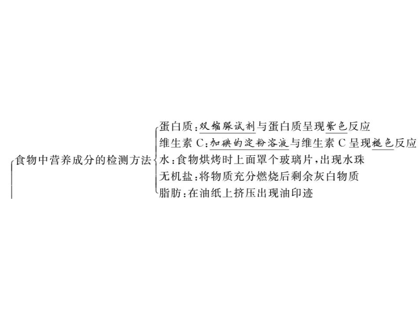 2020-2021学年北师大版七年级生物下册第8章 人的由来 单元复习 习题课件（15张PPT）