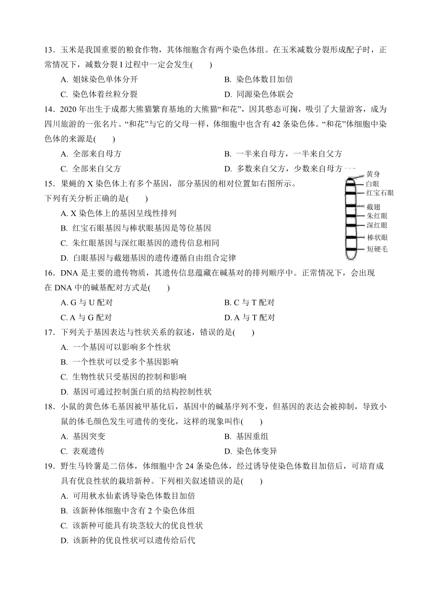 四川省2023年6月普通高中学业水平合格性考试生物真题（无答案）