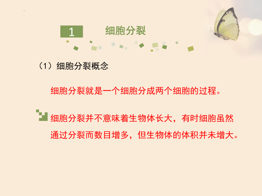 2022--2023学年人教版生物七年级上册2.2.1 细胞通过分裂产生新细胞课件（共24张PPT）