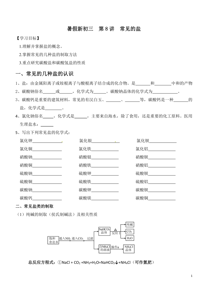2021年 暑假新初三科学  第8讲  常见的盐（知识讲解+针对练习）（无答案）