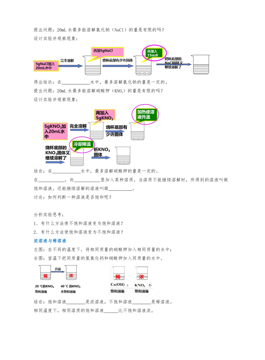 浙教版科学八上 5.物质的溶解 暑假讲义（无答案）