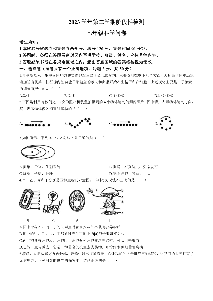 浙江省杭州市十三中教育集团2023学年第二学期阶段性检测 七年级科学问卷(无答案 1.1-3.2)