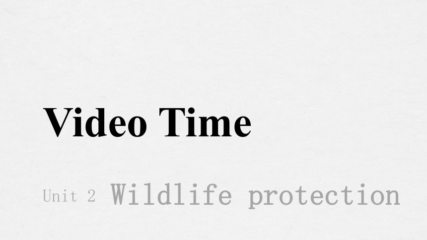人教版（2019）必修第二册Unit 2 Wildlife protection Video time 课件(共18张PPT，内嵌视频)