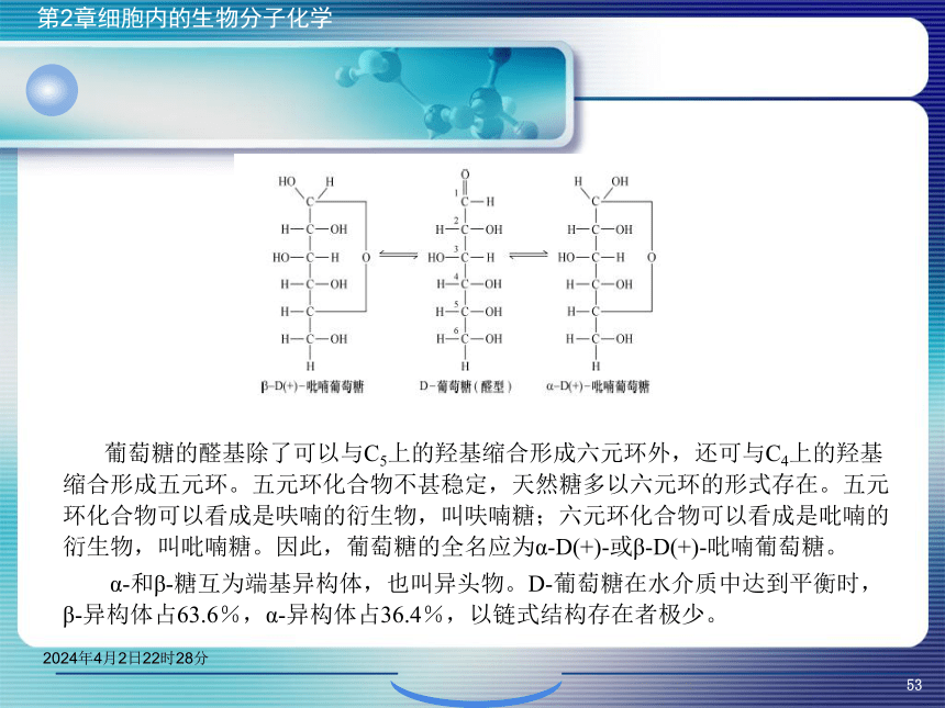 2.2糖类化学 课件(共46张PPT)- 《环境生物化学》同步教学（机工版·2020）